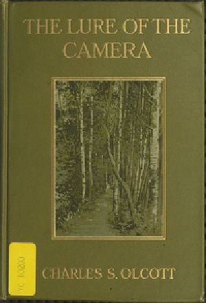 [Gutenberg 35960] • The Lure of the Camera